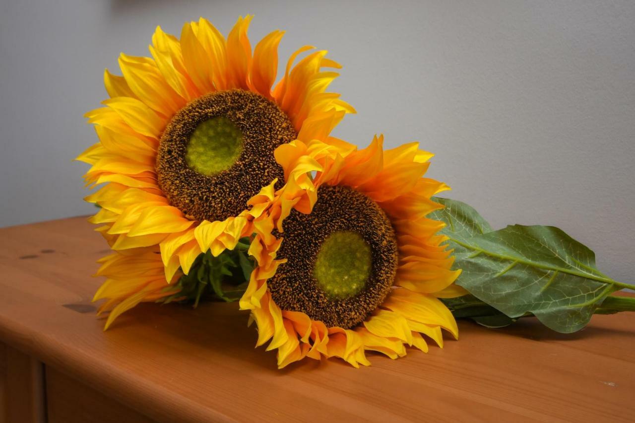 Apartment Desenzanoloft Official Partner Marriott Homes & - The Sunflower Front